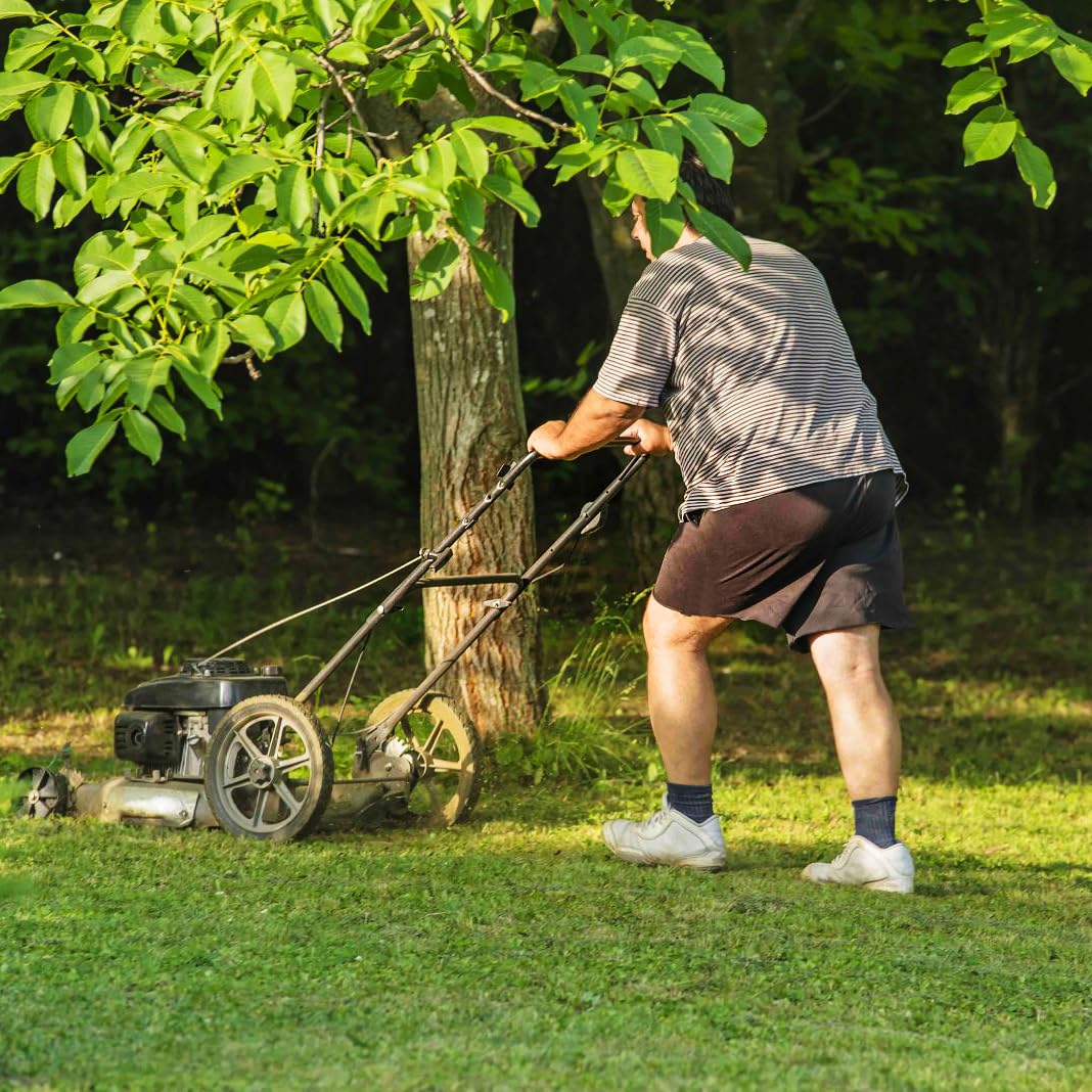 14 x 1.75'' Rubber Tire and Plastic Spoke Wheel, 2.5" Hub Length, 1/2" Axle Bore, for Lawn mower Trolley Dolly Wheel Replacement, 2 (Pack)