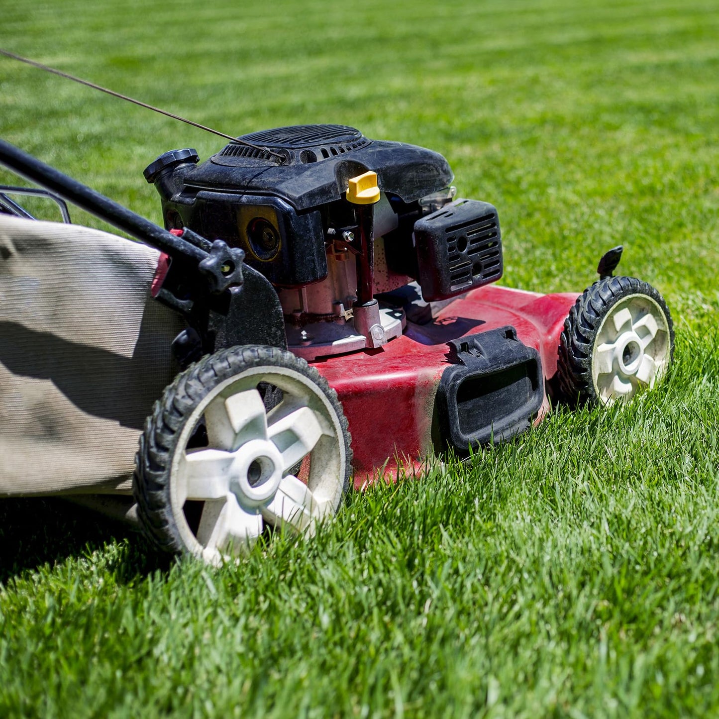 115-4695 20332 20333 20334 Front Drive Wheels, 8 Inch Wheels Fit for Toro Lawn Mower, Pack of 2